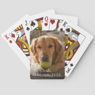 Bästa hund någonsin Husdjursnamn och foto Casinokort