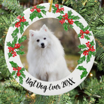 Bästa hund någonsin julpresent eller minne för hus