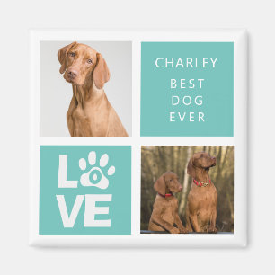 Bästa Hund någonsin   Personlig Photo Magnet