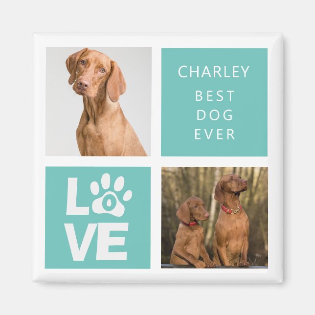 Bästa Hund någonsin | Personlig Photo Magnet (Framsidan)