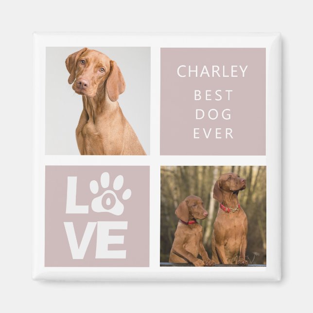 Bästa Hund någonsin | Personlig Photo Magnet (Framsidan)