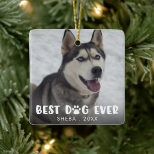 BÄSTA HUND NÅGONSIN Tassavtryck Personlig Foto Julgransprydnad Keramik