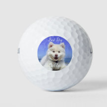 Bästa Hund Pappa någonsin Foto Pet Roligt Puppy Go