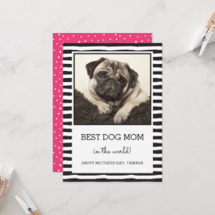 Bästa Hund-stripe Svart Photo Mors dag Kort