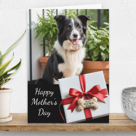 Bästa hundmamma någonsin husdjursfoto mors dag kort