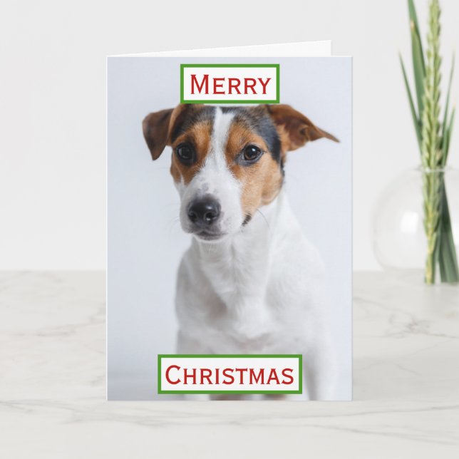 Bästa hundmamma någonsin jul fototo av husdjur kort (Framsida)