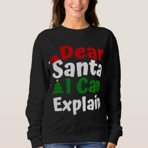 Bästa jultomten jag kan förklara jul t shirt