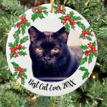 Bästa Kat-jul eller Pet Memorial