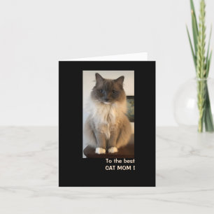 Bästa Kat Mamma för Mors dag Kort