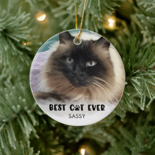 BÄSTA KAT-Personlig NÅGONSIN FÖR FOTOVT Täckskikt Julgransprydnad Keramik