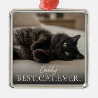 Bästa katten någonsin Ditt husdjurs namn och foto