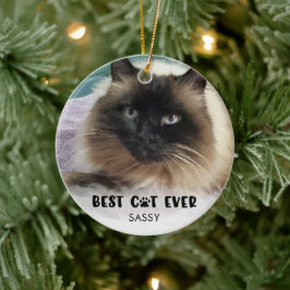 BÄSTA KATTEN NÅGONSIN Foto Vit överlagring Personl Julgransprydnad Keramik