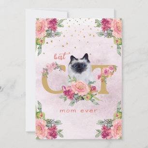 Bästa kattmamma någonsin siamesisk kattunge mors d julkort