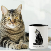 Bästa kattpappa någonsin Silver Tabby Fars dag