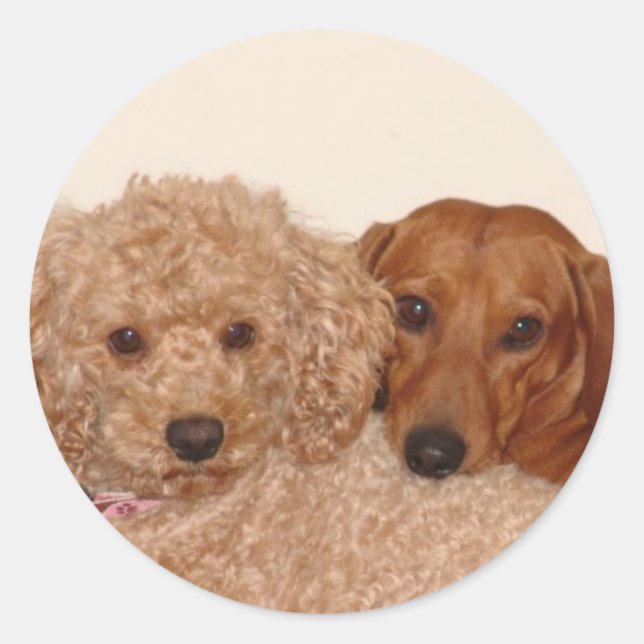 Bästa köp runt klistermärke (Framsida)