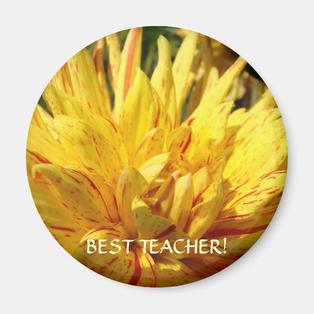 BÄSTA LÄRARE MAGNET Gåvor Gul Dahlia Blomma (Framsidan)