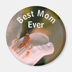 Bästa mamma någonsin gräshoppa på azaleablomma magnet