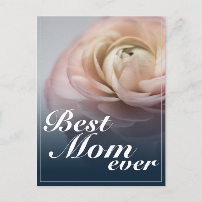 Bästa Mamma någonsin med Big Rosa ros Helg Vykort (Framsida)
