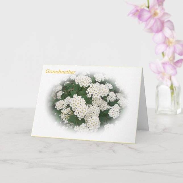 Bästa mormor någonsin Mors dag kort (Orkide)