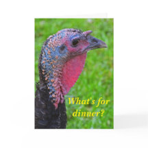 Bästa önskemål på kalkondagen, en söt reflektion.