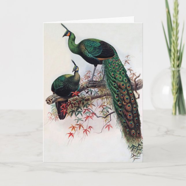 Bästa önskemål, vänner, familj, Peacock Kort (Framsida)