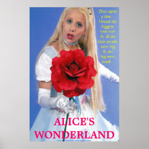 BÄSTA POSTER - BLAND ANNAT I WONDERLAND - EN NY ST
