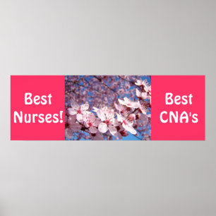 Bästa sjuksköterskor affischer Bästa CNA:s tryck S