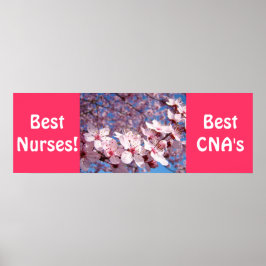 Bästa sjuksköterskor poster bästa CNA:s utskrifter
