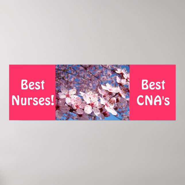 Bästa sjuksköterskor poster bästa CNA:s utskrifter (Framsidan)