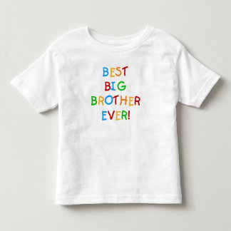 Bästa storebror någonsin t-shirt