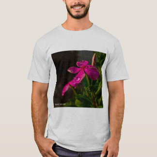 bästa t shirt
