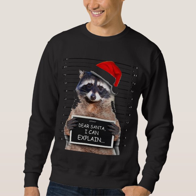 Bästa tomten, jag kan förklara den fantastiska jul lång ärmad tröja (Framsida)