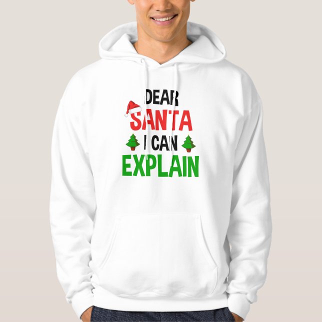 Bästa tomten jag kan förklara en fin jul hoodie (Framsida)