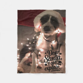 Bästa tomten jag kan förklara (hund) fleecefilt