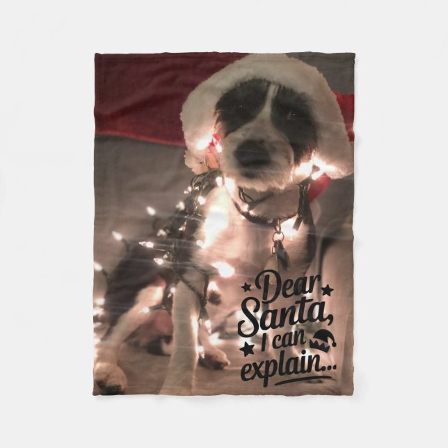 Bästa tomten jag kan förklara (hund) fleecefilt (Framsidan)
