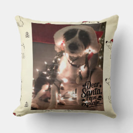 Bästa tomten jag kan förklara (hund) kudde