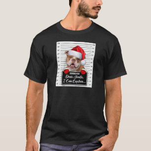 Bästa tomten jag kan förklara hur roligt det gamla t shirt