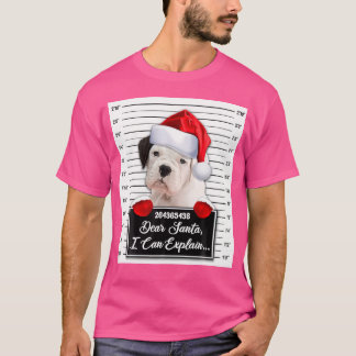 Bästa tomten! Kan förklara den konstiga julklappen T Shirt