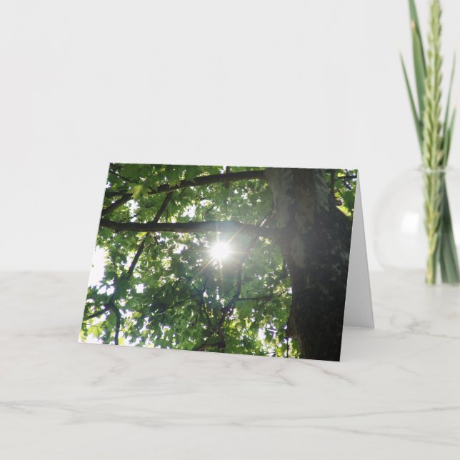 Bästa träd kort (Framsida)