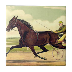 BÄSTA trumpen mästare Kakelplatta