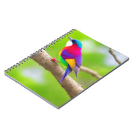 Bästa val av anteckningsbok: där Stil uppfyller Anteckningsbok