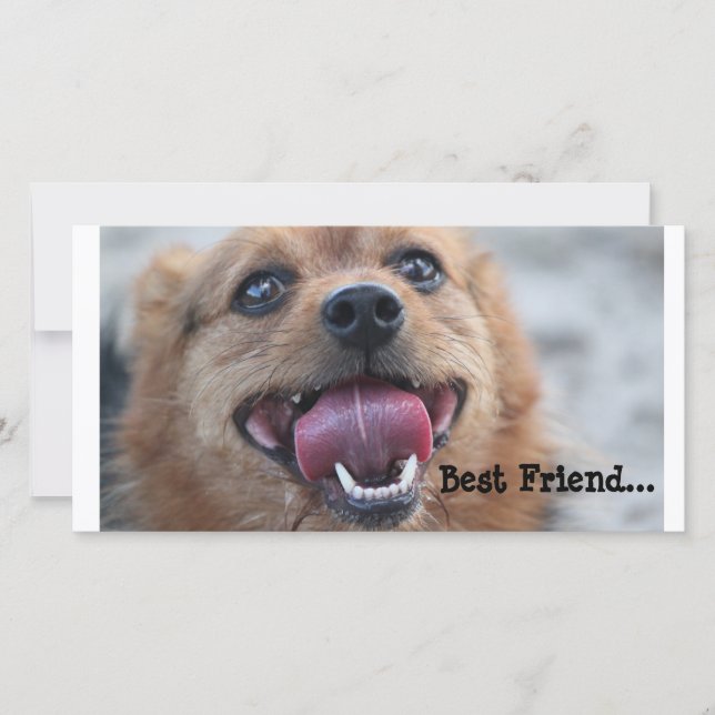 Bästa vän (Framsida)