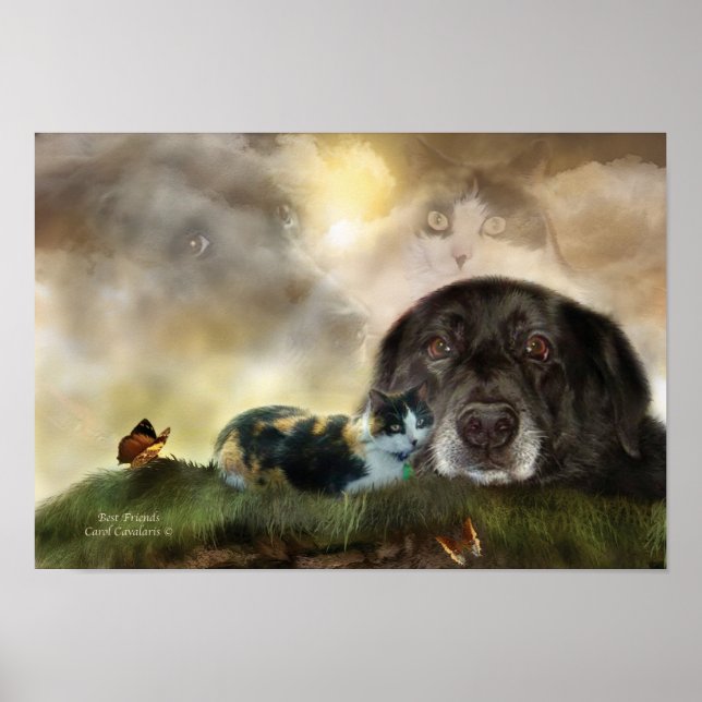Bästa vän av bild Poster/skriver ut Poster (Framsidan)