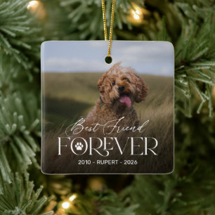 Bästa vän för alltid Hund Minnes Ornament