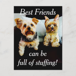 Bästa vän-Fullt för att studera Yorkie Personalize Vykort