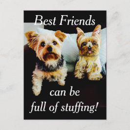 Bästa vän-Fullt för att studera Yorkie Personalize Vykort
