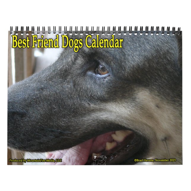 Bästa vän Hundar-kalender! Kalender (Omslag)