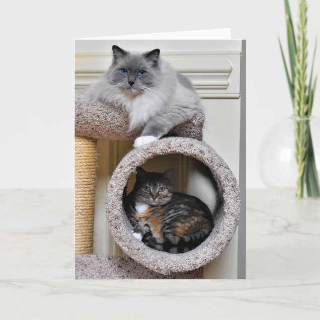 Bästa vän kort (Framsida)