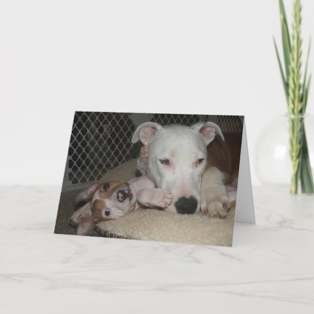 Bästa vän… kort (Framsida)