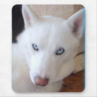 Bästa vän musmatta